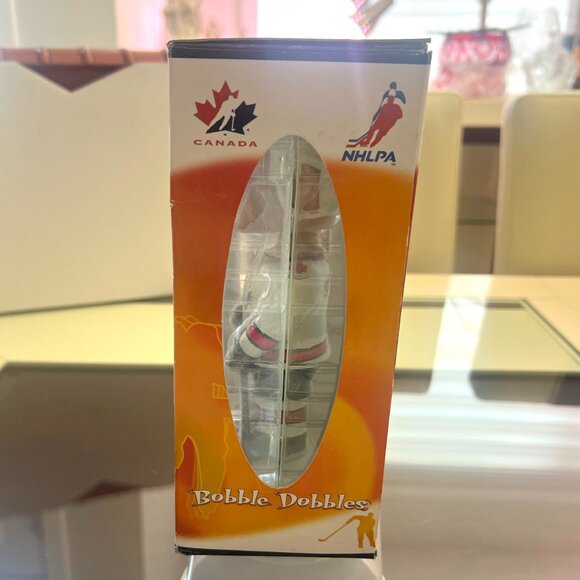 Joe Sakic Hand Painted Bobblehead by Animation In Motion Collectible Series! - Picture 4 of 6